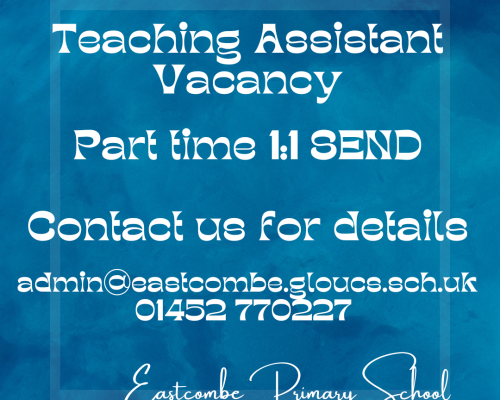 1:1 Teaching Assistant Vacancy