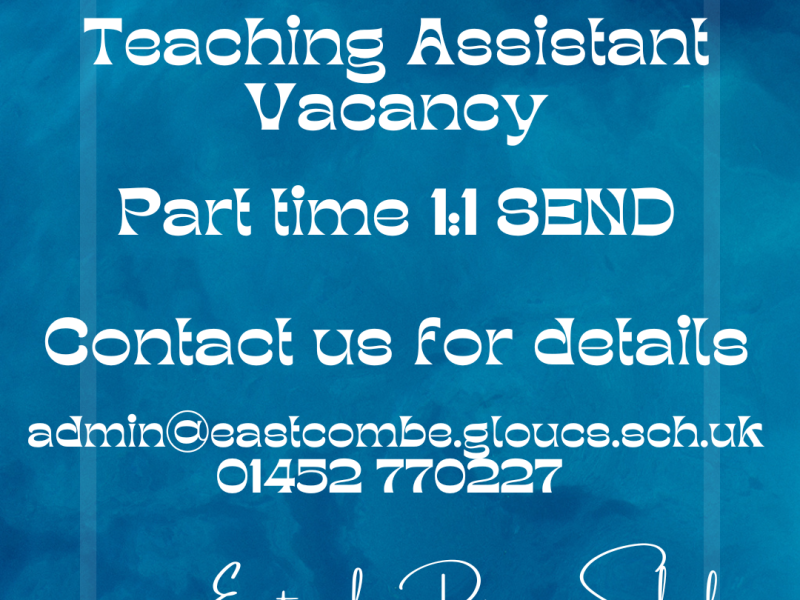 1:1 Teaching Assistant Vacancy